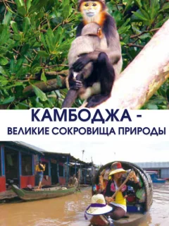 Камбоджа - великие сокровища природы