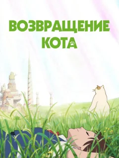 Возвращение кота